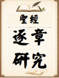 聖經逐章研究